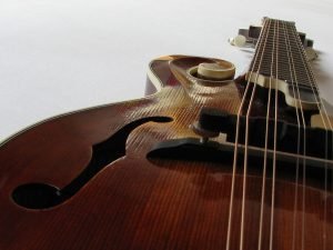Best Beginner Mandolin: Everything You Need To Know