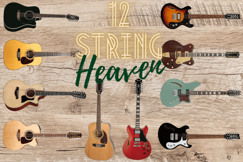 12 String guitar