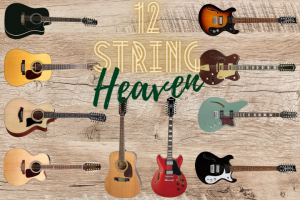 Best 12 String Guitar. You’ll Be Amazed By How Affordable They Are