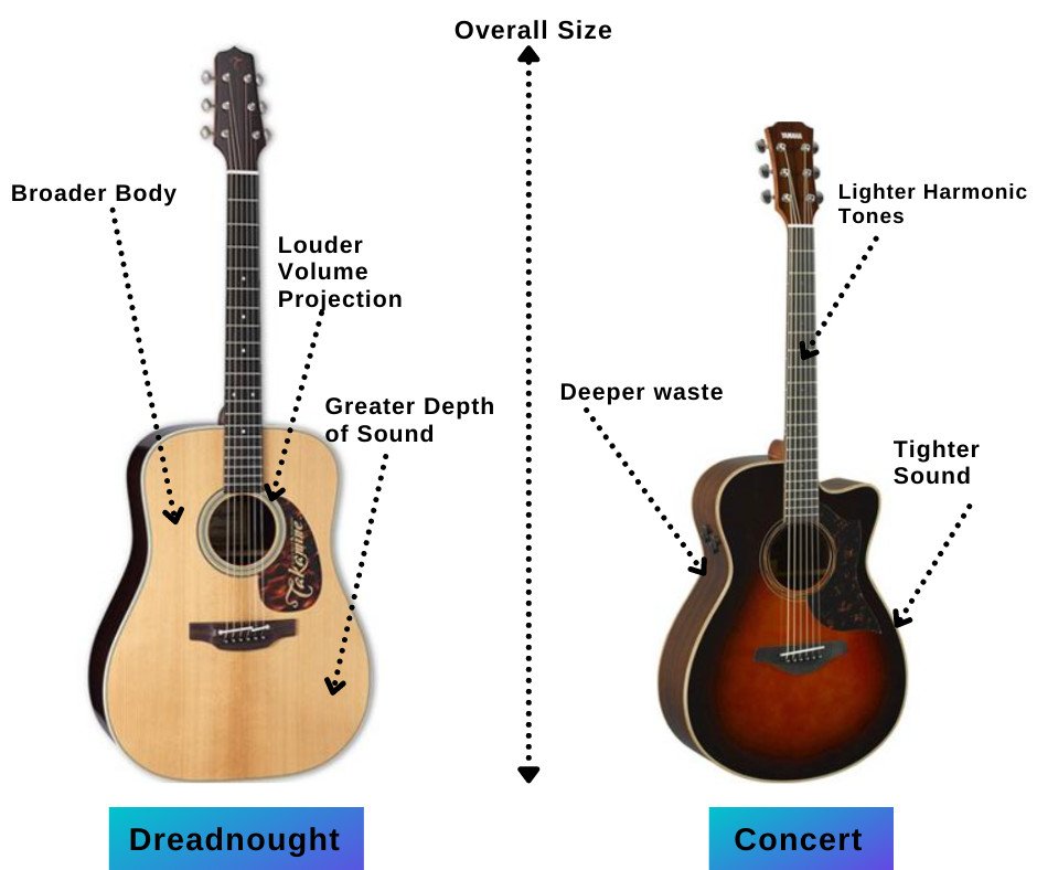 martin and taylor guitars shape