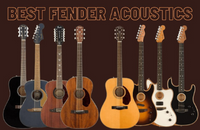 Best Fender Acoustics