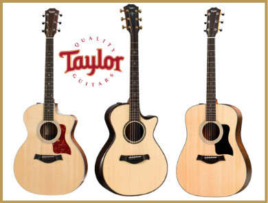 martin vs taylor. taylor vs martin guitars.