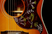 Hummingbird acoustic body