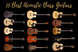 Best Acoustic Bass Guitar. 15 Options For All Budgets