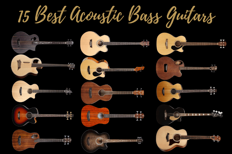 15 Best Acoustic Bass