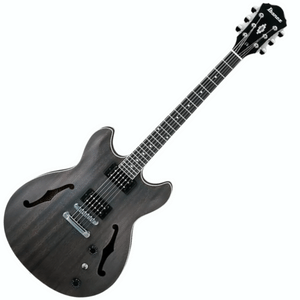 Ibanez for professional guitarists