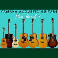 yamaha good beginner guitar collection