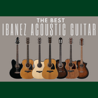 Ibanez good acoustic guitar cost for intermediate guitar players