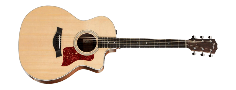 Best Taylor Guitars for all playing style
