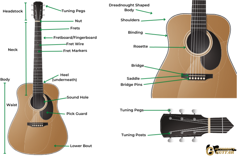 acoustic guitar parts names