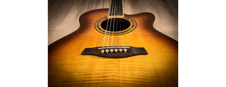 acoustic hollow body guitar